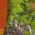 Why You Should Be Planting Your Crops In Autumn Gardening 101 Gardening Australia