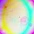 FLASHBACKS Slowed CRASPORE 8D