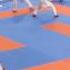WUC 2016 Kumite Team Female TPE Vs JPN