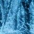 Asian Fantasy Music Winter Forest Of Kitsune Beautiful Enchanted