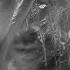 Roccuzzo Guarda La Luna Official Lyrics Video