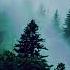 Ylang Ylang Playlist With Rain