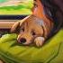 Love Is The Answer Shorts Short Music Lyrics Musicvideo Dog Doglover