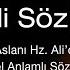 Hz Ali Sözleri Hz Ali Ra Den En Güzel En Anlamlı Sözler