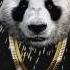 New Song Version Desiigner PANDA