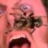 Home Alone Marv Spider Scream