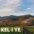 Elie