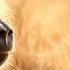 How These Baboons Trick Others Onto The Lion S Dinner Table I Nature Is Brutal