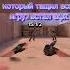 ПОРА ВСТАВАТЬ ХОЗЯИН Standoff2 стандофф2 Shorts подпишись рек актив