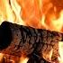 Fireplace Evenings Of Calm Burning Logs Crackling Sounds And The Serenity Of Pure Relaxation
