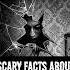 Did You Know Some Mirrors Might Be Hiding Dark Secrets ScaryMirrors HauntedHistory CreepyFacts