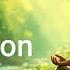 Krishna Flute Relaxing Music For Meditation Focus And Calmness क ष ण ब स र मध र ध न