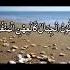 Surah Al Qariah