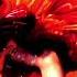 Bionic Boogie Ft Luther Vandross Hot Butterfly HQ Sound
