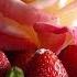 Strawberry Charlotte Bruno Albouze