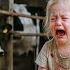 A 3 Year Old Girl Slept In A Cowshed Every Night Until A Millionaire Said She S Still Human