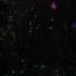 Nightcore Levan Polkka Nastya Litvinovich