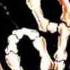 Korn Eaten Up Inside