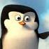 PINGUINII DIN MOLDOVA ÎNCEPUTUL Repost Arhivă 2019 MEMDOM