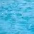 Slow Motion Water Rain Drops Videography By SJ Editography CB