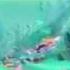 Winx Club Season 5 Official Opening We Re The Winx HD
