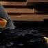 Blake Shelton Friends From The Angry Birds Movie Official Video