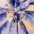 Drifting Away