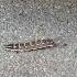 Let S Dance Backwards Moonwalk Caterpillar Worm Butterfly Michaeljackson Billiejean