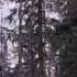 Nastenka Baba Yaga And The Robbers