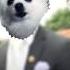 Coffin Dance Astronomia EDM Remix Feat Gabe The Dog