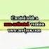 Wow Wow Wubbzy Lost Effect Slow
