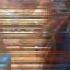 La Familia Rasta 0001 Wmv