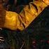 THE WITCHER 3 Forefather S Eve 4K 60fps