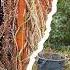 Homeowner Was Left SPEECHLESS After MIND BLOWING Yard Makeover