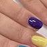 Dazzle Dry New Bright Shades POP PERSPECTIVE Collection