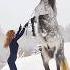 Before After Animals Growing Up Amazing Animal Transformation Short Tiktok Animals