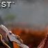 How To Unlock God Of War Face Paint In Horizon Forbidden West All Totem Locations