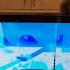 Epic Gameplay Of Speed Demon Boss Fight Real