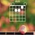 Jersey Giant Tyler Childers Guitar Tutorial Jersey Giant Guitar Lesson