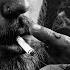 Emre KYL Don T Lose Hope Original Mix