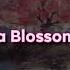 Sparta Blossom Base REUPL