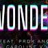 Zigi SC Wonder Feat Prdk Caroline V