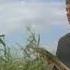 Children Of The Corn 1984 Preacher Isaac