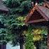 Привет Застава Гарик Кричевский