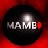 Mambo 2 0 2 5 1 1 Tech House