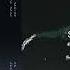 PREMIERE Tokyo Fan Club Seasons Animal Print Remix Bedrock Records