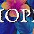 Colorful Flowers Tokyo Music Walker No Copyright Music