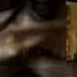 Hrithik Roshan Monica Bellucci Tango And The City