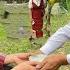 Will Lina And Her Mother Have A Peaceful Life At Ly Tieu Nuong Farm Lý Tiểu Lina