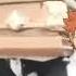 R I P Daichi San